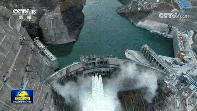 31.gif 31.gif