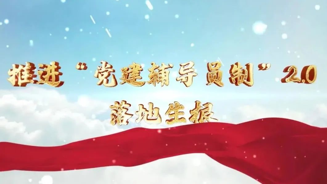  党建经营融合十佳案例④ | 西南水泥——“领导员造”+“进建型组织”，让党建成为看得见的“出产力” 